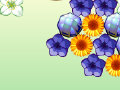 鲜花泡泡龙