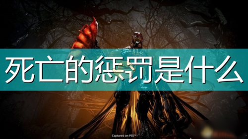 227041493 (1).png