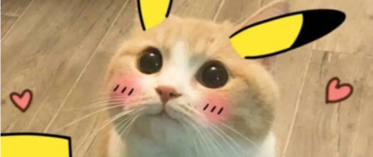 微信截图_20230320140858.png