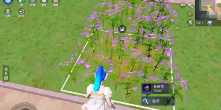 微信截图_20230331102223.png