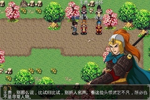 柔居岳飞全传