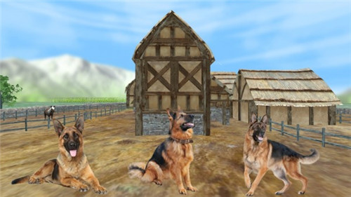 牧羊犬动物3D最新版