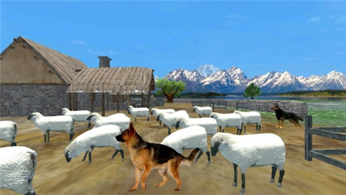 牧羊犬动物3D最新版