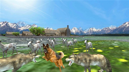 牧羊犬动物3D最新版