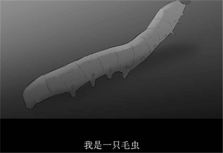 虫爱少女游戏
