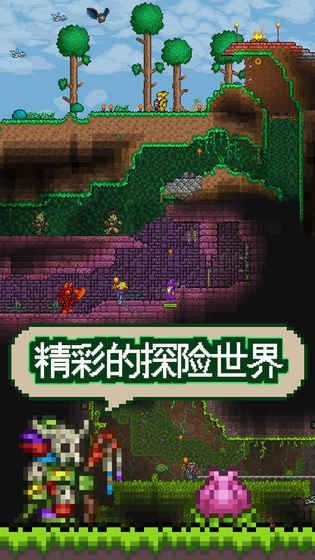 泰拉瑞亚全道具版2021
