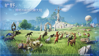 诺亚之心预约