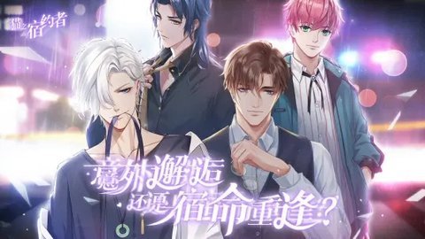 猫之宿约者哔哩哔哩版