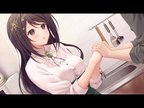 角色扮演之恋极乐公主手游最新版