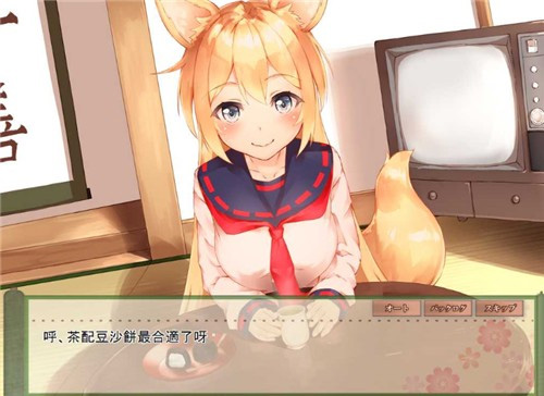 我与空狐的日常中文版