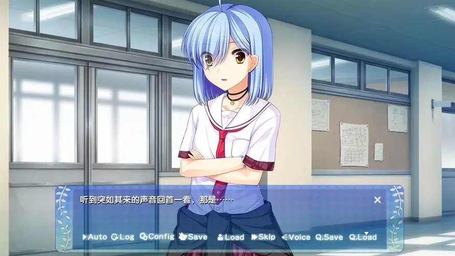 女子全员妊娠计划