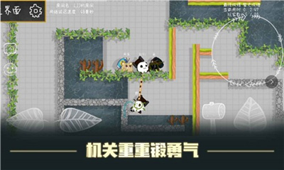 森林大会游戏