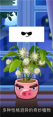 我家花园游戏