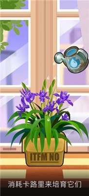 我家花园游戏