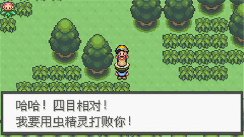 口袋妖怪极光石手机版