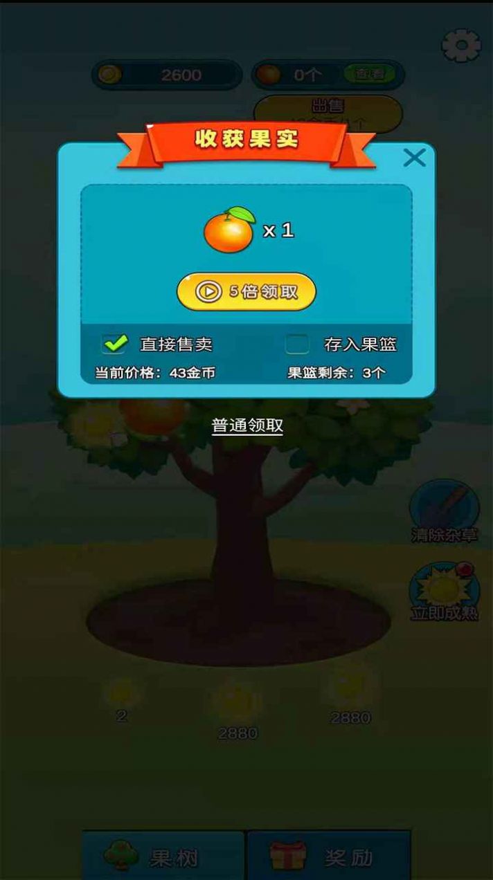 柚子熟了1.1版本