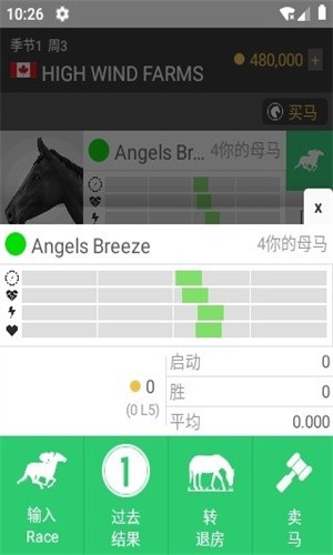 马赛跑正式版