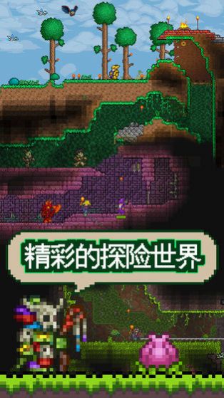 tl proAPP最新手机版2021