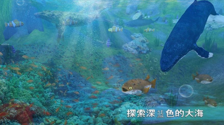 全民养鲸鱼正版游戏