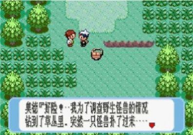 口袋妖怪始源蓝宝石721困难版