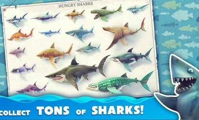 饥饿鲨世界国际服SharkJira无限珍珠修改版图片1