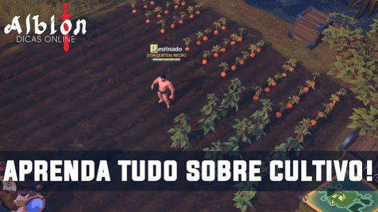 albion online手机版汉化版