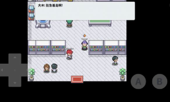 口袋妖怪零世界beta0.6二周目完整版最新版图片1