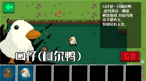 小鸟与黑暗森林修改版