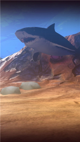 2021042789317537.jpg