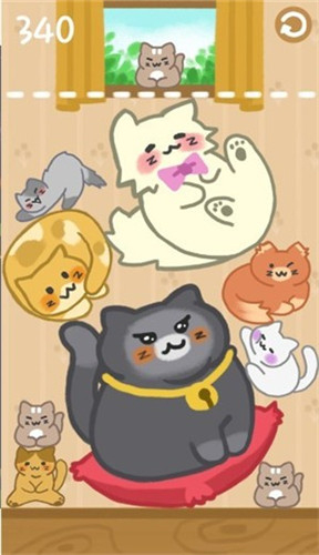 猫咪满屋安卓版