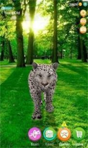 会说话的猎豹游戏