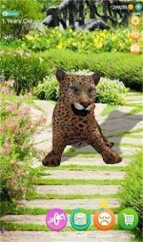 会说话的猎豹游戏