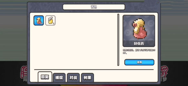 口袋妖怪DS内测精灵