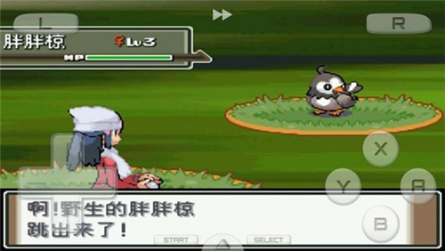 口袋妖怪白金光无敌版