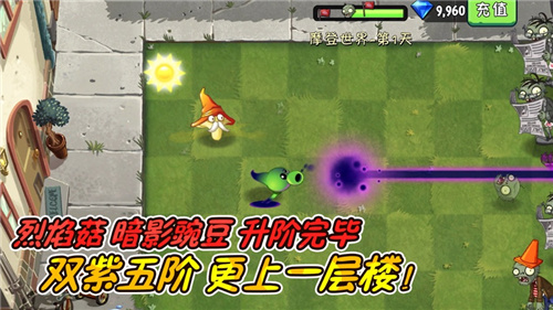 植物大战僵尸2端午节最新版