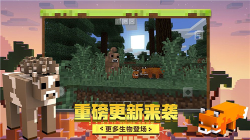神奇宝贝mod手机版