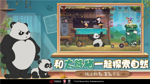 猫和老鼠真实版