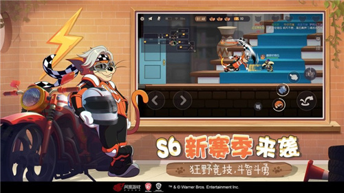 猫和老鼠真实版