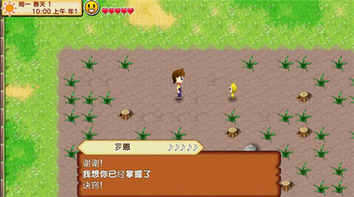 牧场物语无敌版
