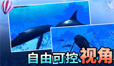 海洋动物世界