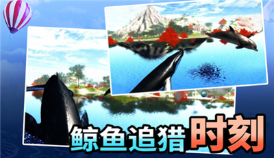 海洋动物世界