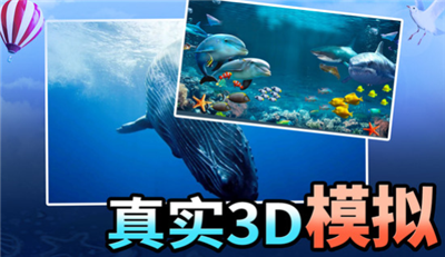 海洋动物世界