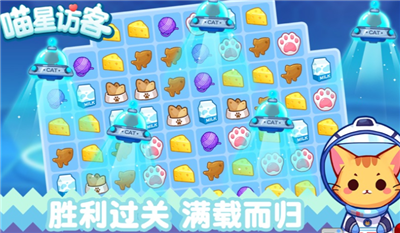 喵星来客