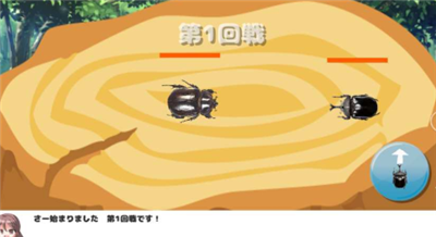 我和甲虫的暑假