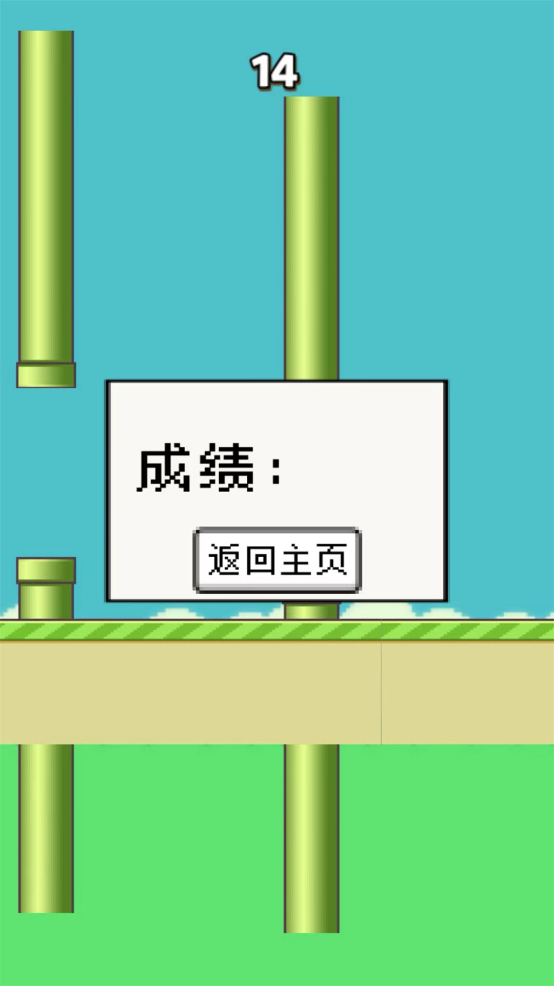 笨鸟努努最新安卓版