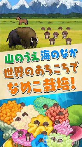菇菇栽培研究室中文最新版