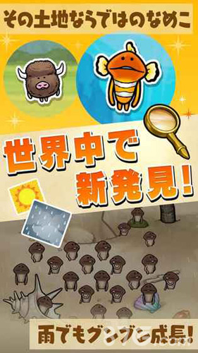 菇菇栽培研究室中文最新版