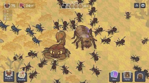 蚁群野生森林(Ant Colony) (3).jpg