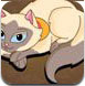 清朝小猫咪