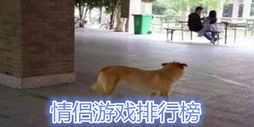 情侣小游戏互动手机游戏